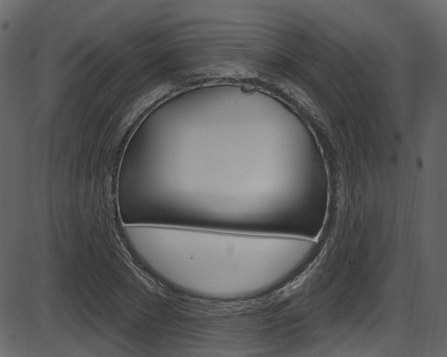 X0000086220881200703291001