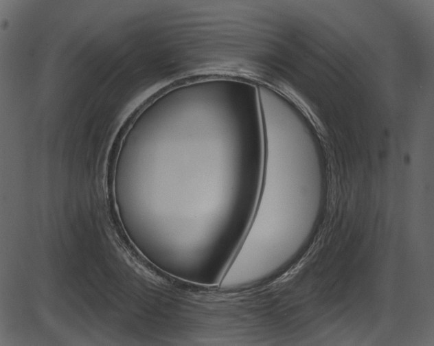X0000086220884200703291001
