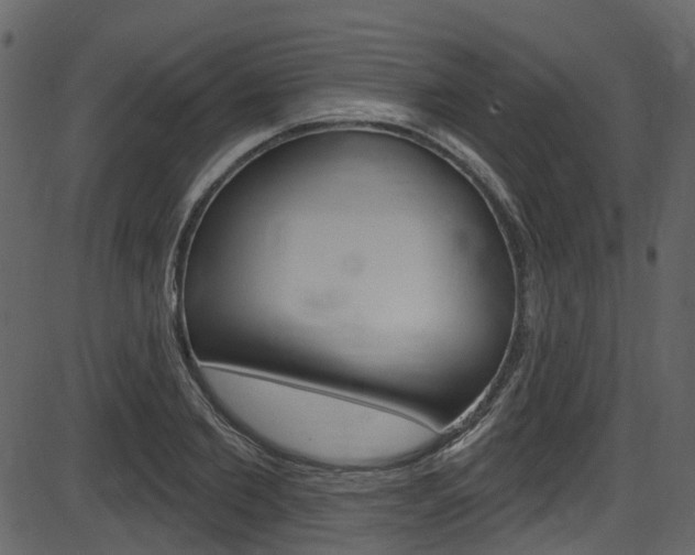 X0000086220885200703291001