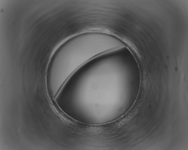 X0000086220888200703291001