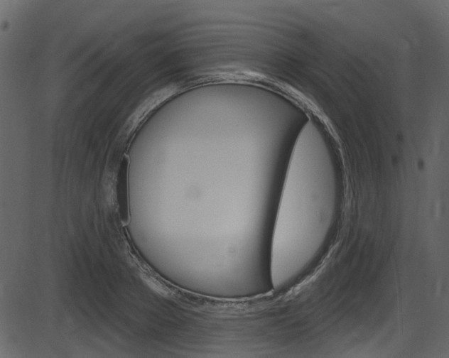 X0000086220889200703291001