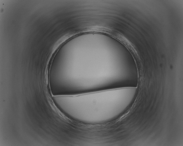 X0000086220892200703291001