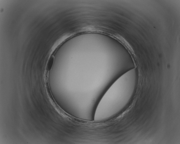 X0000086220893200703291001