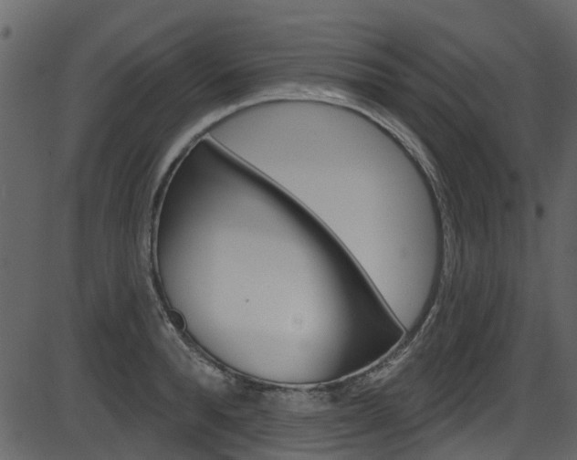 X0000086220896200703291001