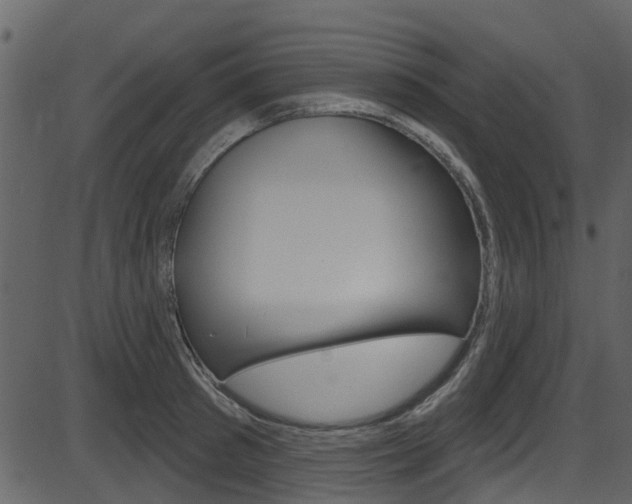 X0000086220897200703291001