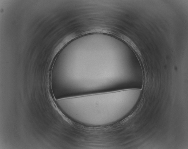 X0000086220898200703291001