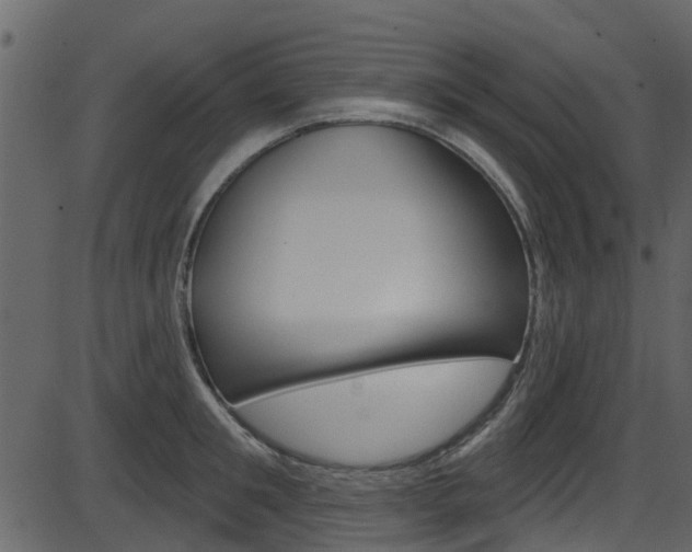 X0000086220901200703291001