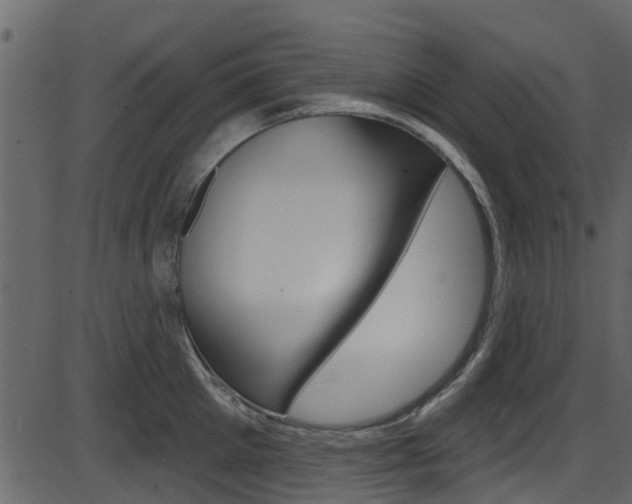 X0000086220905200703291000