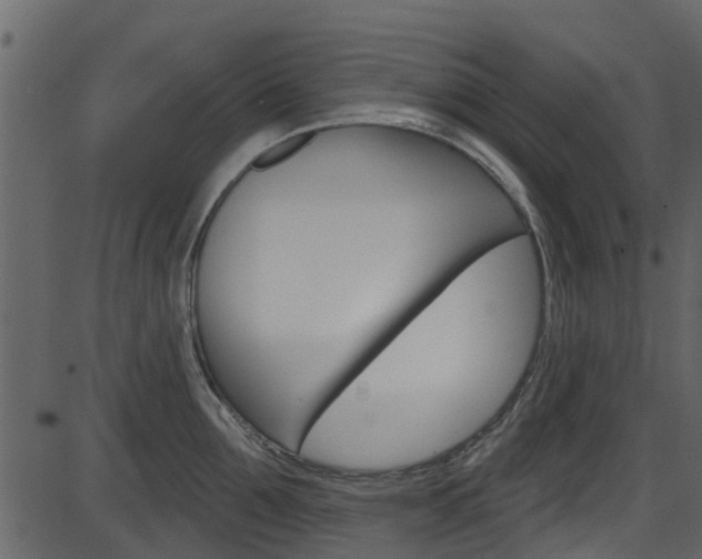 X0000086220907200703291000