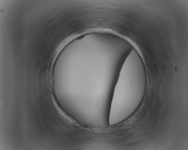 X0000086220911200703291000