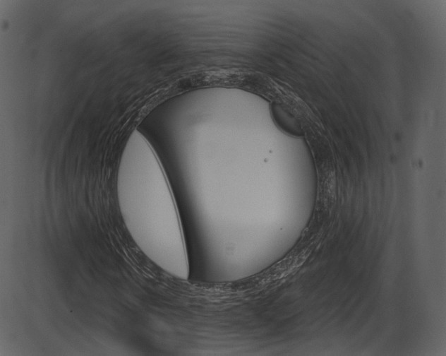 X0000086220914200703291000