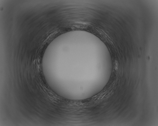 X0000086220915200703291000
