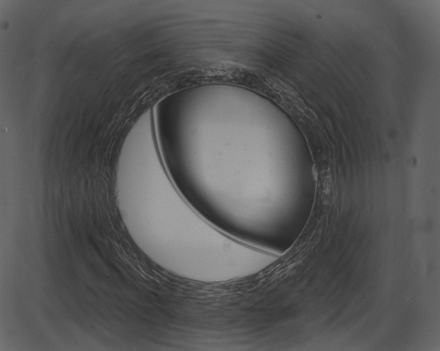 X0000086220916200703291000