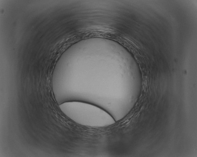 X0000086220917200703291000