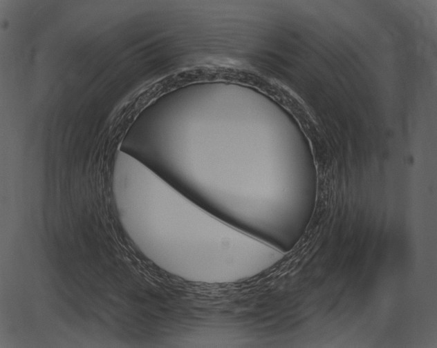 X0000086220919200703291000