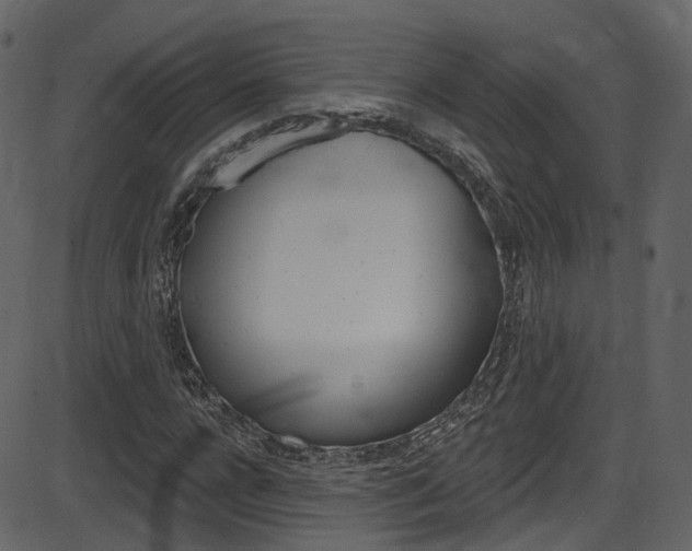 X0000086220920200703291000