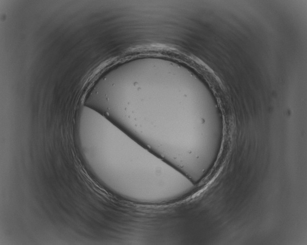 X0000086220921200703291000