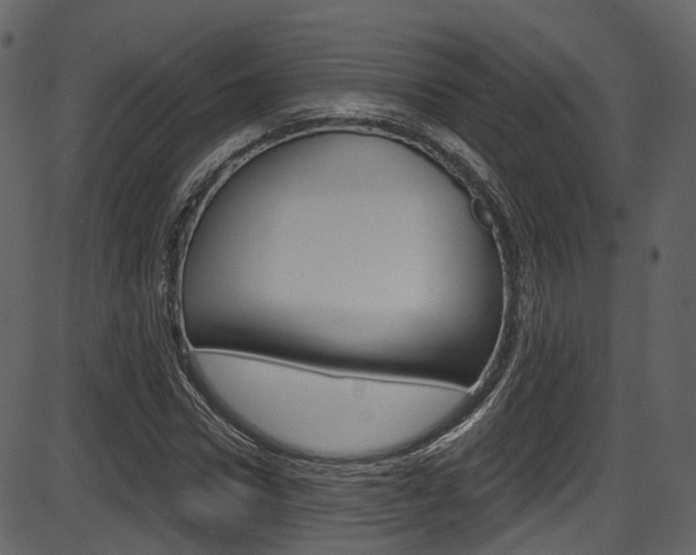 X0000086220922200703291000