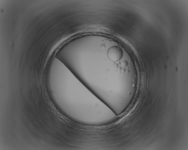 X0000086220925200703291000