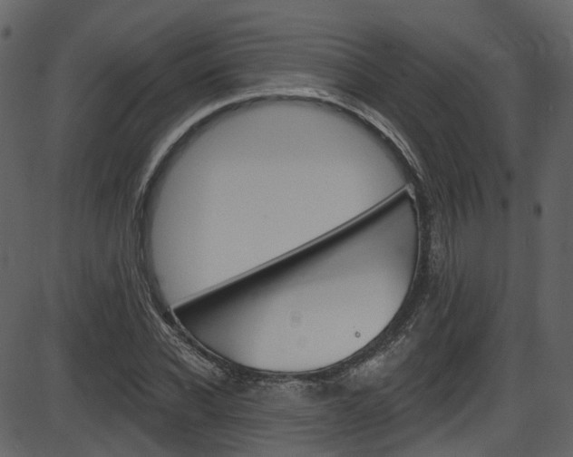 X0000086220926200703291000