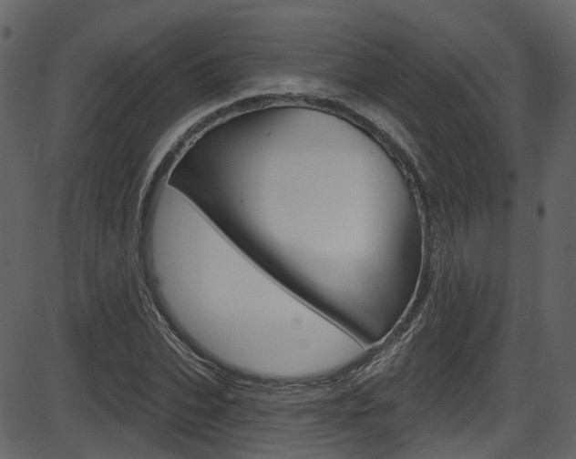 X0000086220927200703291000