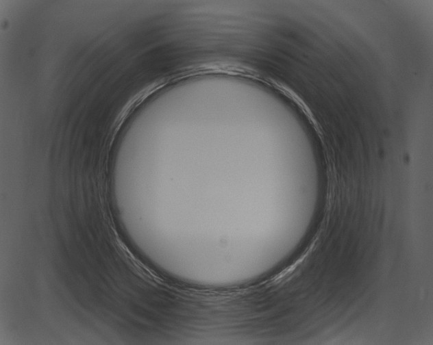 X0000086220930200703291000