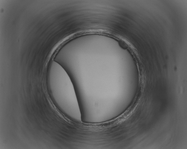 X0000086220933200703291000