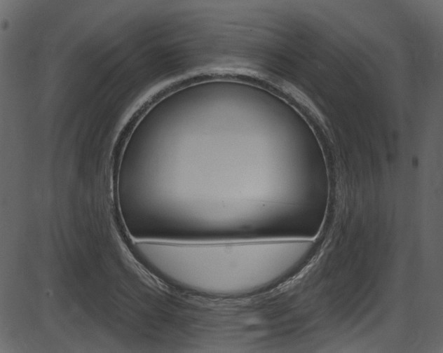 X0000086220934200703291000