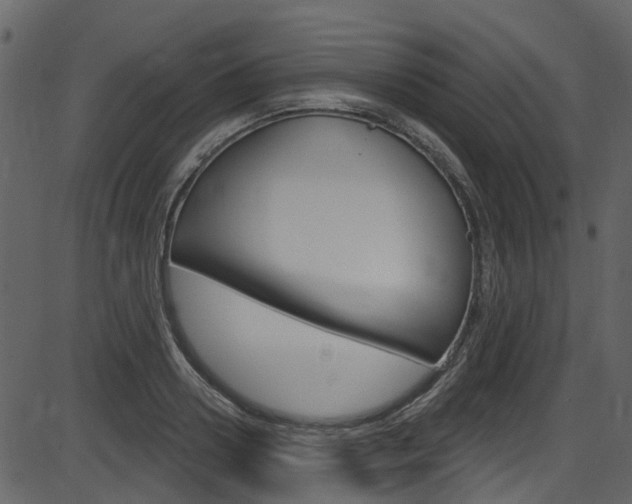 X0000086220938200703291000