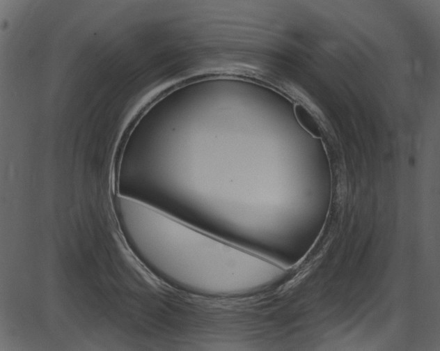 X0000086220940200703291000
