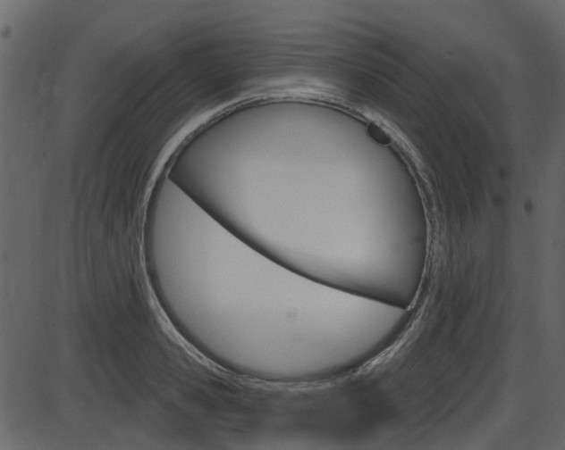 X0000086220941200703291000