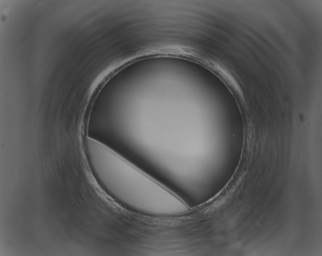X0000086220944200703291000