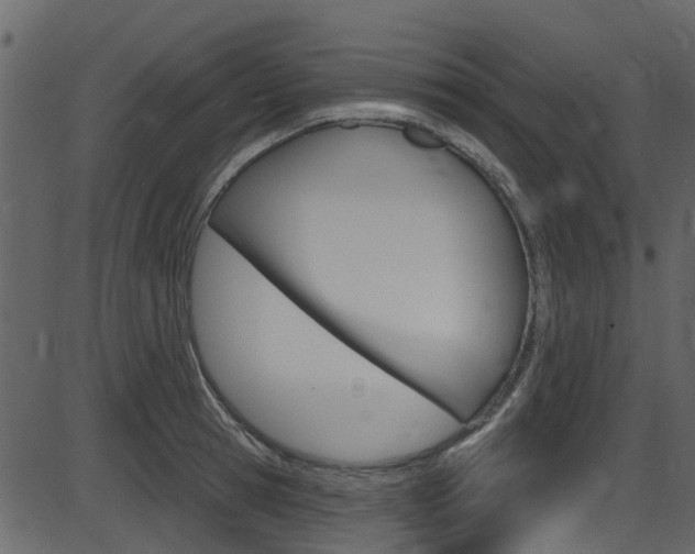 X0000086220945200703291000