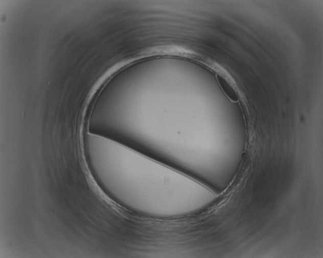X0000086220947200703291000