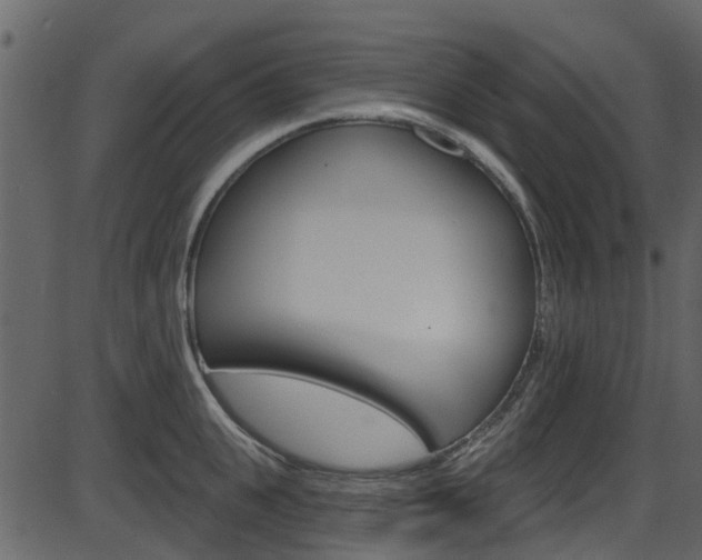 X0000086220951200703291000