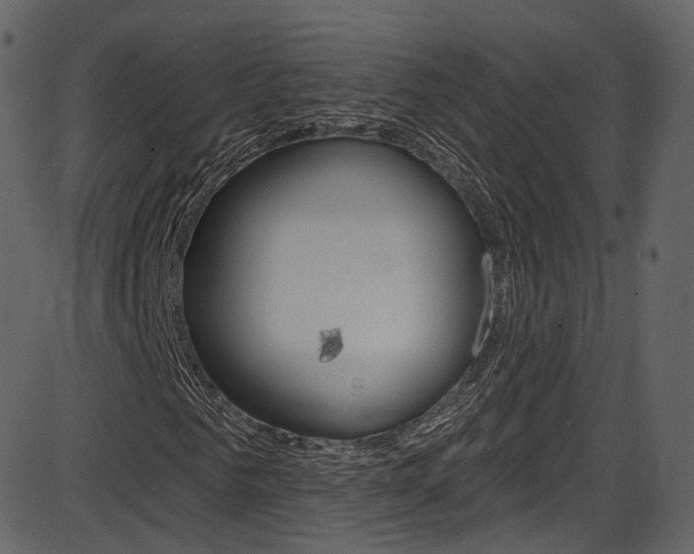 X0000086220961200703291000