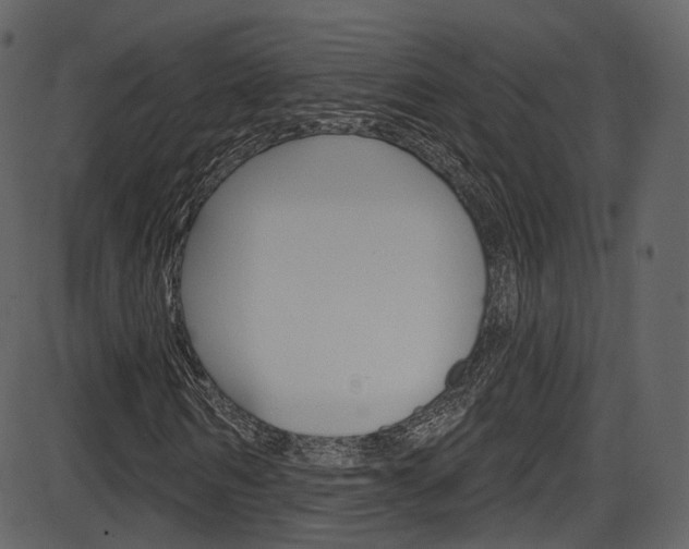 X0000086220962200703291000