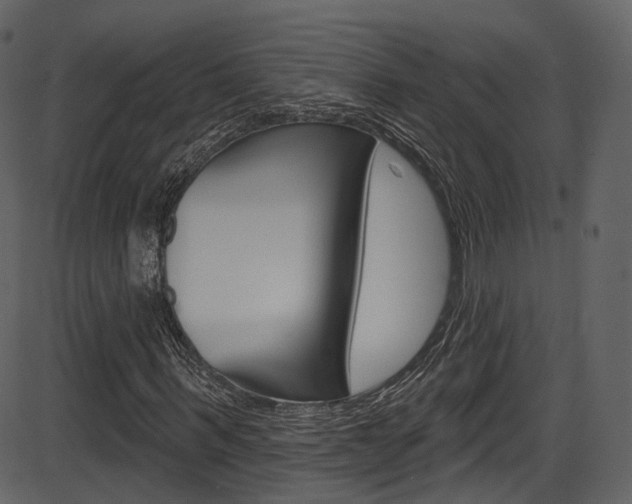 X0000086220963200703290959