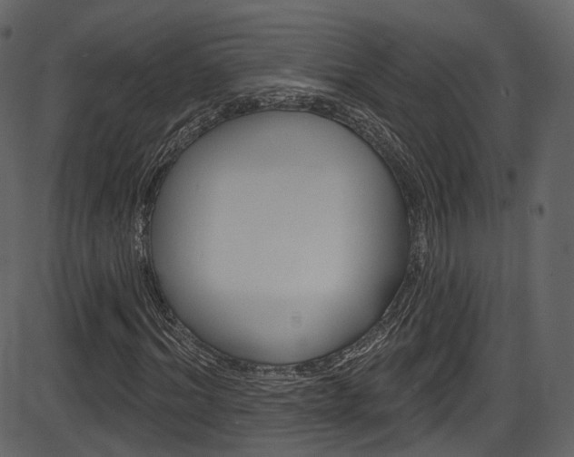 X0000086220964200703290959