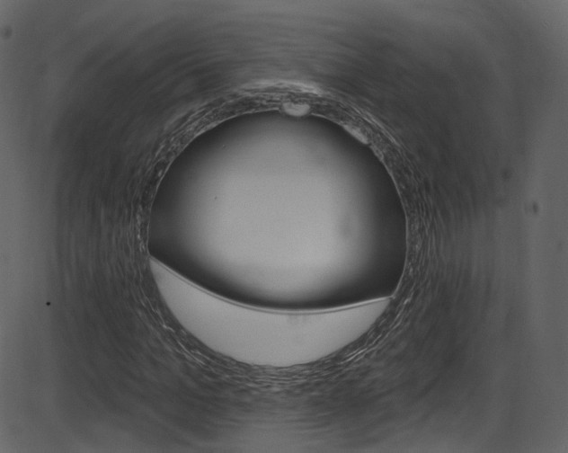 X0000086220965200703290959