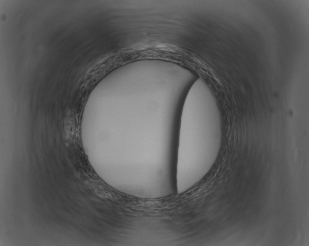 X0000086220966200703290959