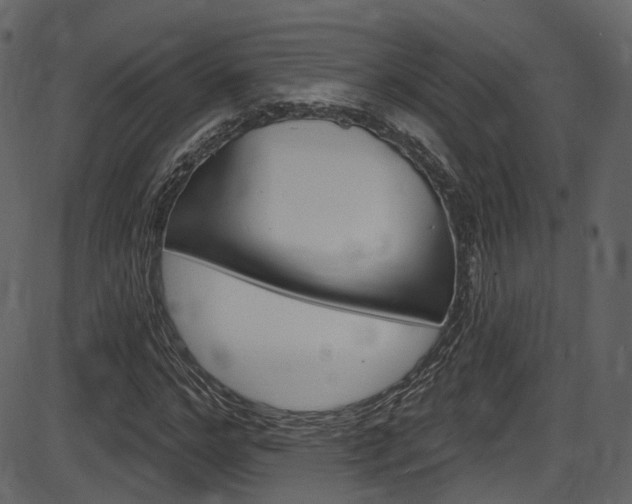 X0000086220968200703290959