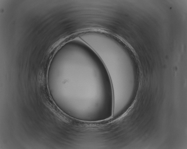 X0000086220969200703290959