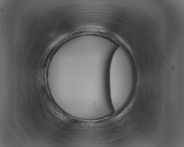 X0000086220970200703290959