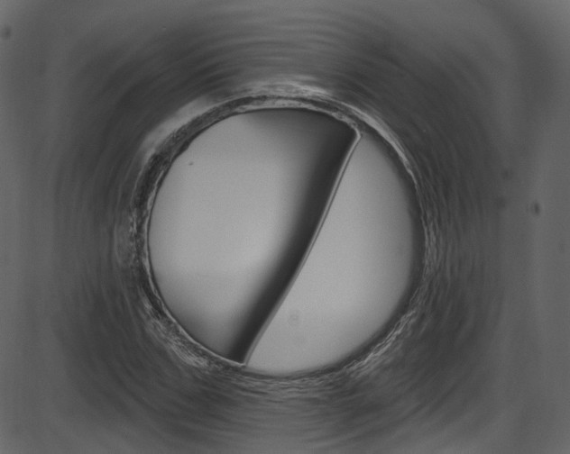 X0000086220971200703290959