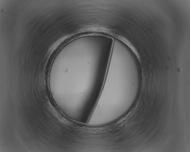 X0000086220972200703290959