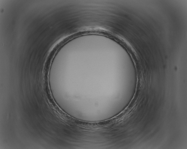 X0000086220975200703290959
