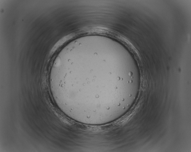 X0000086220978200703290959