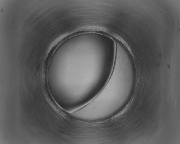 X0000086220981200703290959