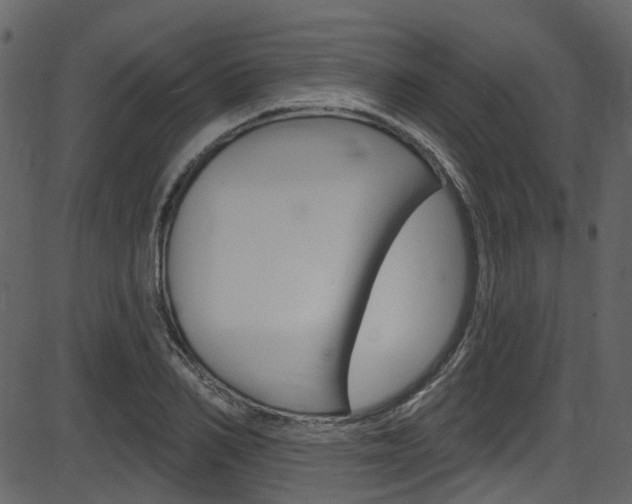 X0000086220982200703290959